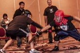 Way of the Stick and Blade 2012 Photo 1